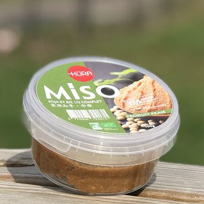 Miso medio de arroz fresco y soja (12 meses) - Miso medio crudo - 生みそ - (100g)