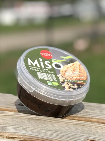 Miso Agé de 3 ans - Middle Raw Miso - 生みそ (100g)