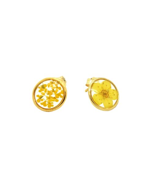 Boucles d'oreilles fleurs naturelles Fleur de prunier Torilis jaune |  Boucles d'oreilles florales | Bijou floral | Or gold filled 14k