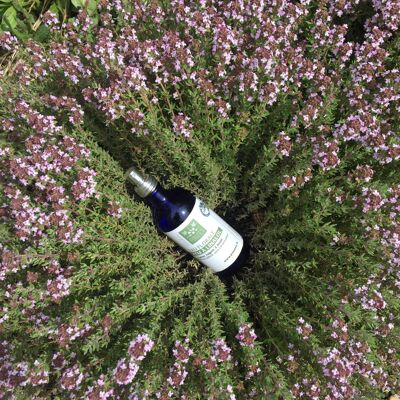 Thyme floral water with organic linalool 100ml spray