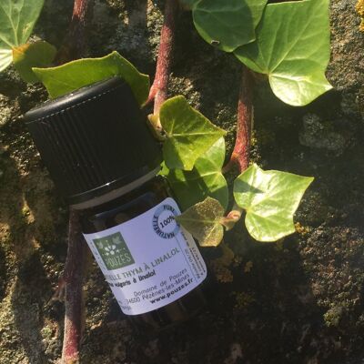 Thyme essential oil with organic linalool 5ml