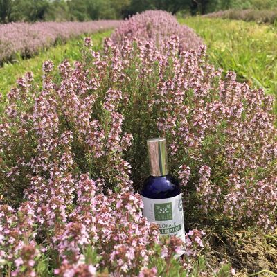 Thyme floral water with organic linalool 200ml spray