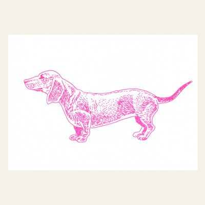 Cartolina Risograph – Bassotto rosa fluo – DIN A6