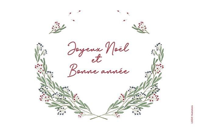 Rote und blaue Beeren-Postkarte