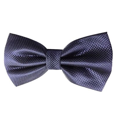 Papillon Zafra