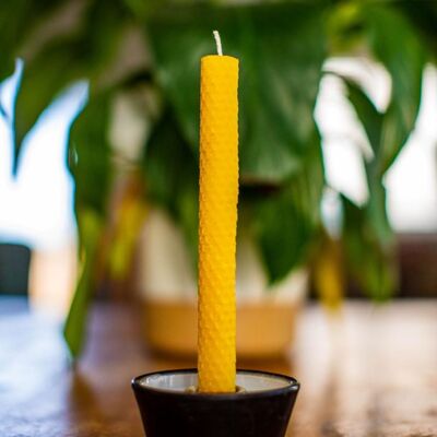 Beeswax {Box of 8} Candles