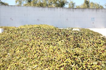 Bidon (5 litres) EVO - Huile d'olive extra vierge italienne extraite à froid Cirulli, 8