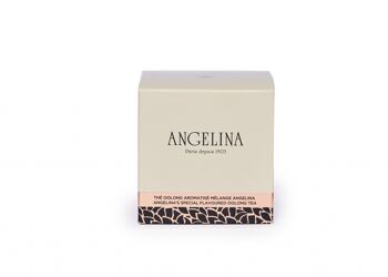 Thé boite cube mélange angelina 20 sachets, 40g