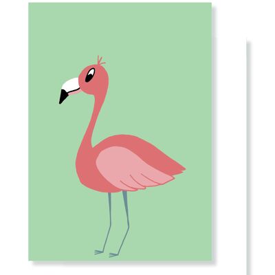 Kaart - Flamingo