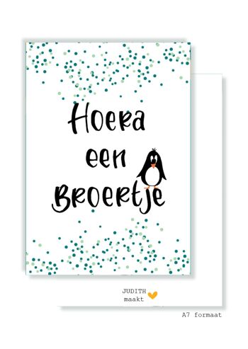 Petite carte - Hooray a brother - avec pingouin