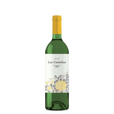 Camélia Vin Blanc