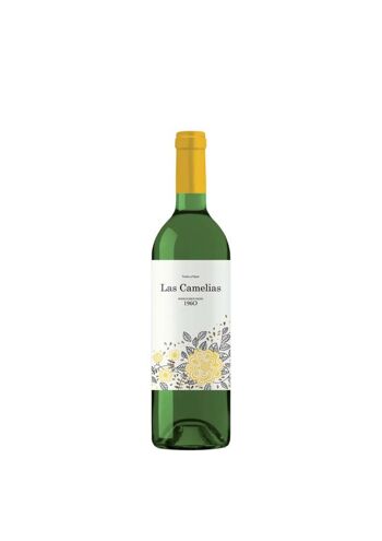 Camélia Vin Blanc