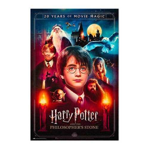 Harry PotterP0497-PL-6191