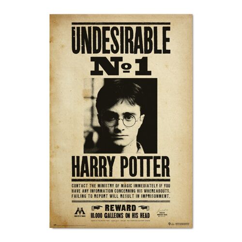 Acheter Harry Potter - Poster Gryffondor (91,5 x 61 cm) - Ludifolie