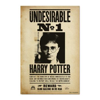 Harry PotterP0510-PL-6191