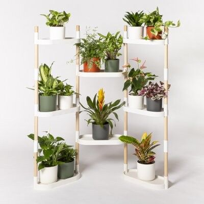 plant shelf; 8 trays