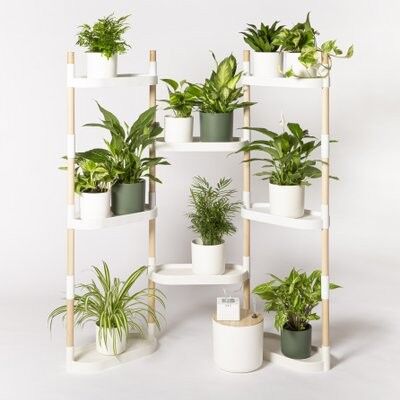 Plant shelf with automatic watering; 8 trays