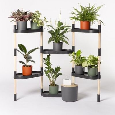 Plant shelf with automatic watering; black color; 6 trays