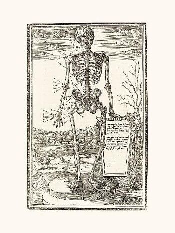 Human Skeleton - 40x50