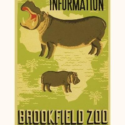 Informationen Brookfield Zoo - 40x50