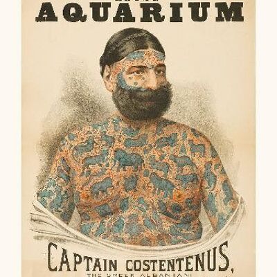 Captain Costantenus  