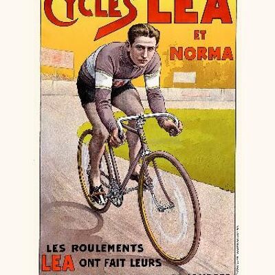 Lea Cycles - 40x50