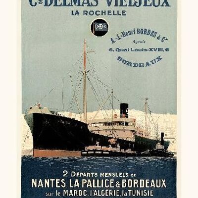 Cie Delmas Vieljeux (Bleue) - 30x40