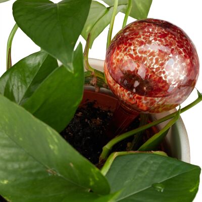 Glass Water Balls for Plants - Set of 4 - Red - Automatic Watering System