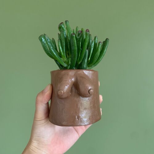 Handmade Boob Pot