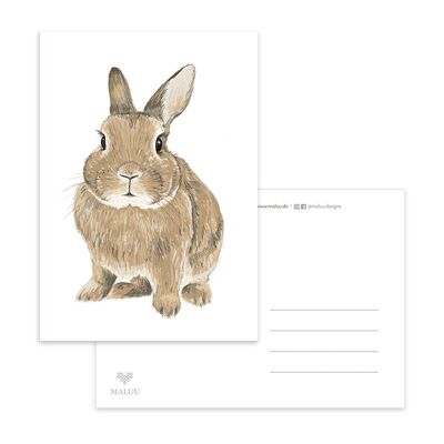 Postkarte Brown Rabbit