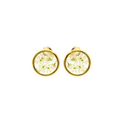 White Torilis flower earrings | Floral earrings | Floral jewelry | 14k gold filled