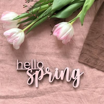 Hello Spring-Gr. M