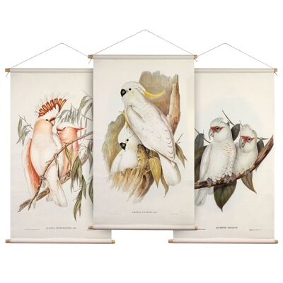 Wall cloth set Birds of Australia - Textile posters with leather cord