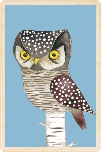 Carte postale en bois HAWK OWL Bird Card 2