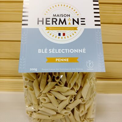 Penne Trigo Seleccionado 500 g