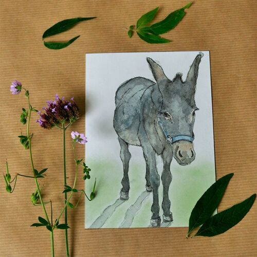 Greeting card Donkey