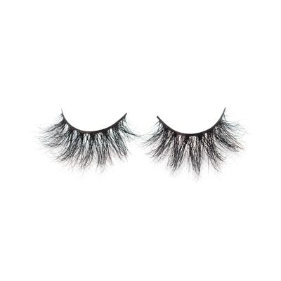 Flirty | lashes