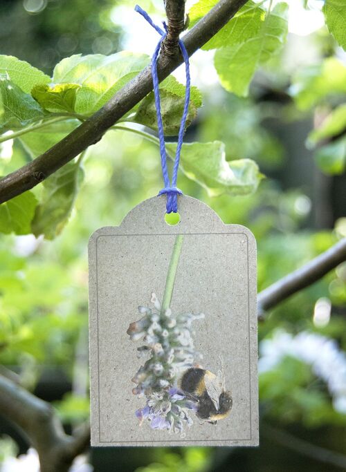 Set of 5 Lavender & Bee gift tags