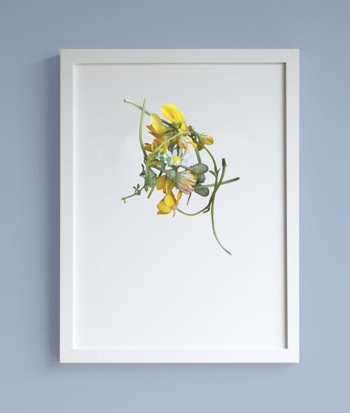 Buttercups, dandelions & daisy A3 print