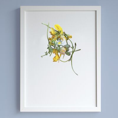 Buttercups, dandelions & daisy A3 print