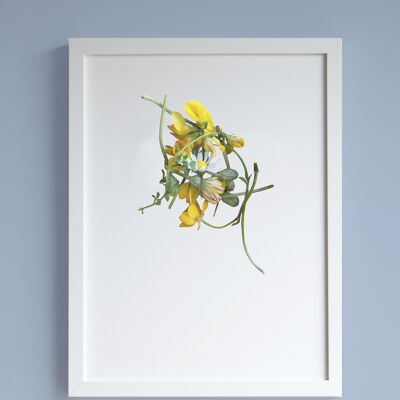 Buttercups, dandelions & daisy A3 print