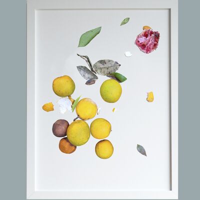 Decaying citrus A3 print