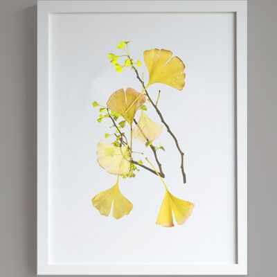 Impression A3 de collage de Ginkgo