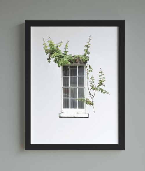 Window with ivy A4 print