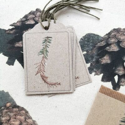 Set of 5 Spruce twig gift tags
