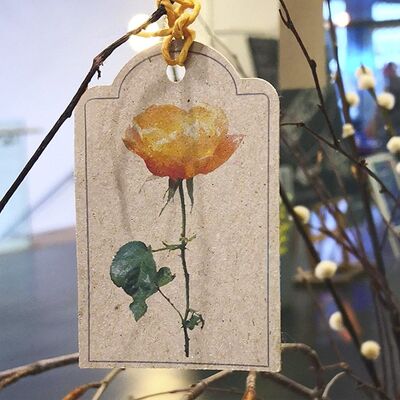 Set of 5 Orange rose gift tags