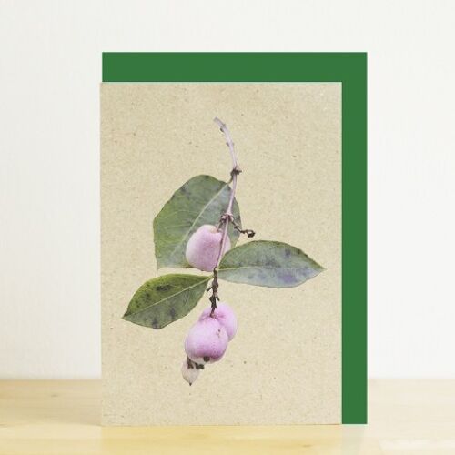 Snowberries A6 card