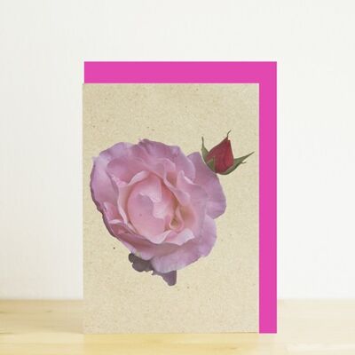 Pink and red roses A7 card
