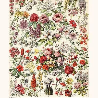 Blumensträucher - 40x50