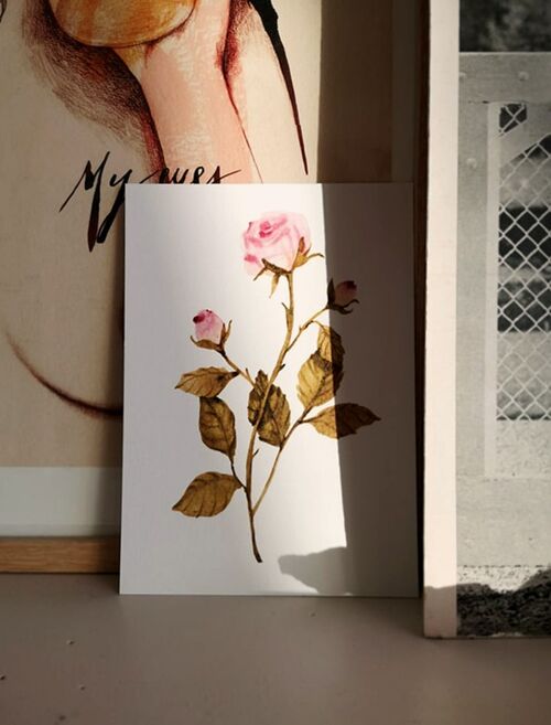 Carte postale La rose